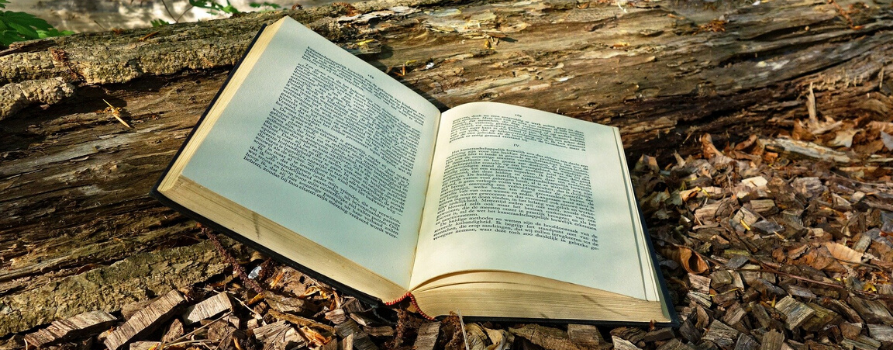 książka oparta o pień drzewa leży na leśnej ściółce