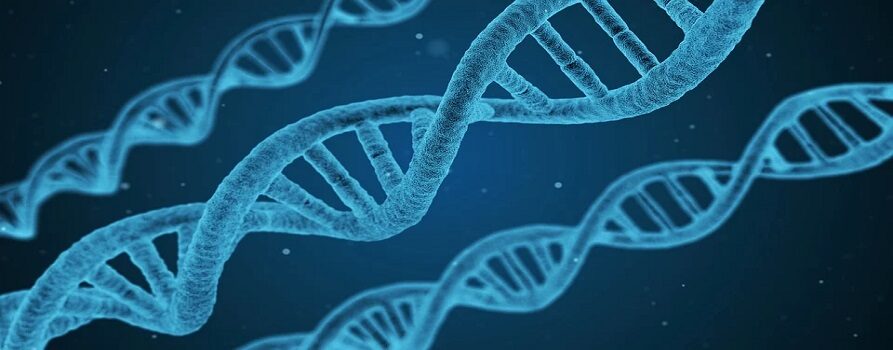 Łańcuch DNA w kolorze niebieskim