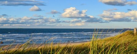Bałtycka plaża, wydmy i widok na morze