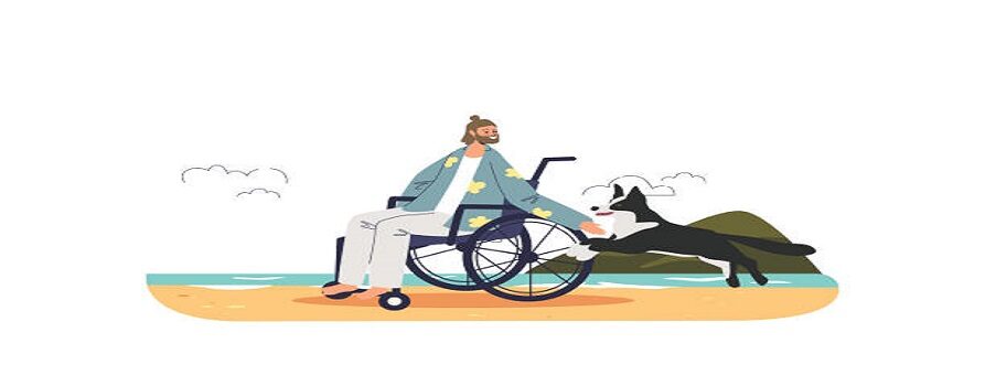 rysunek mężczyzny, siedzącego na wózku inwalidzkim na plaży, za nim jego pies przewodnik