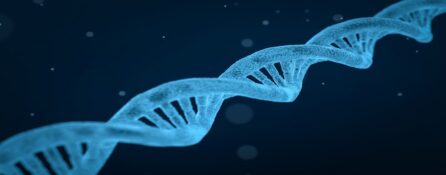 Sekwencja DNA