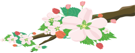różowy kwiat na drzewie