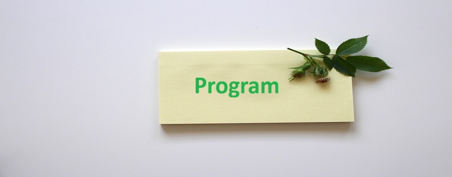 szare tło, na nim żółta kartka typu post-it, na kartce zielona roślinka i zielony napis "Program"
